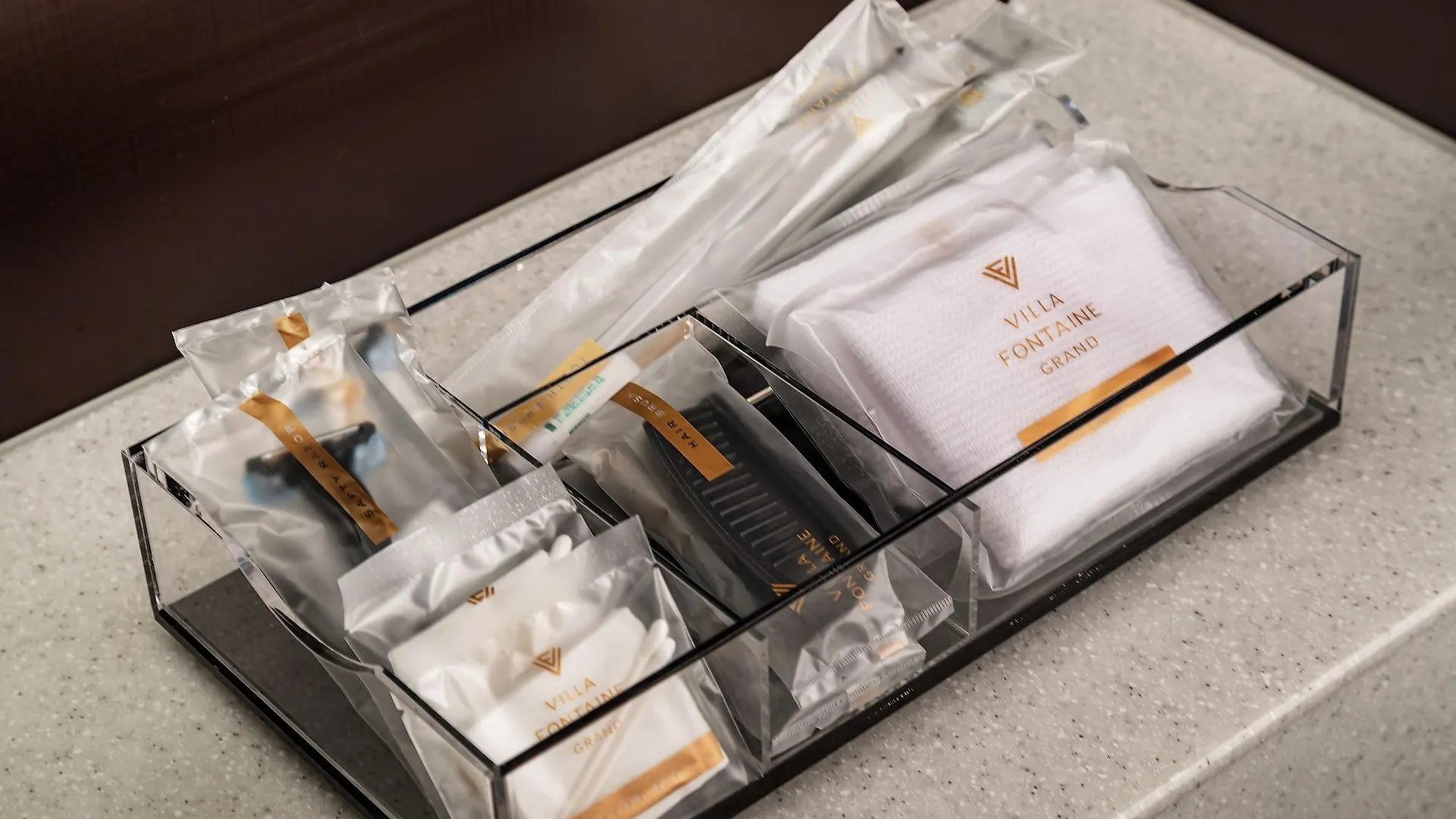 Hotel Villa Fontaine Grand Tokyo-Roppongi  Tokió