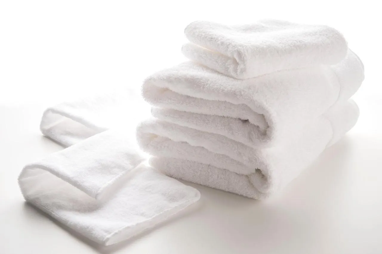 ホテルヴィラフォンテーヌグランド東京六本木 東京都 4*,